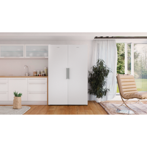 Морозильная камера Gorenje FN6191DHW